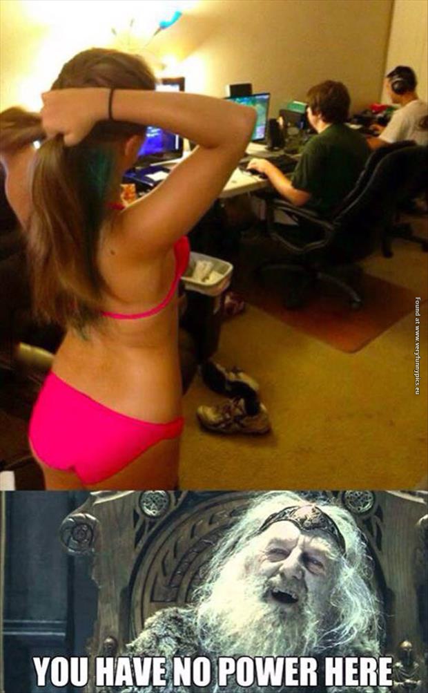 funny pictures bikini girl and computer nerds
