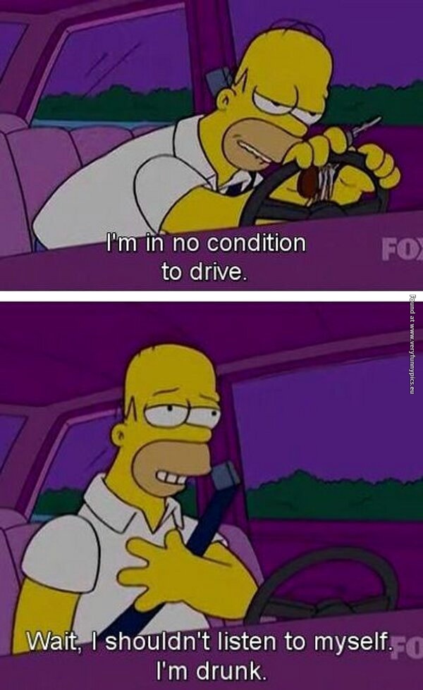 funny pictures homer driving drunk