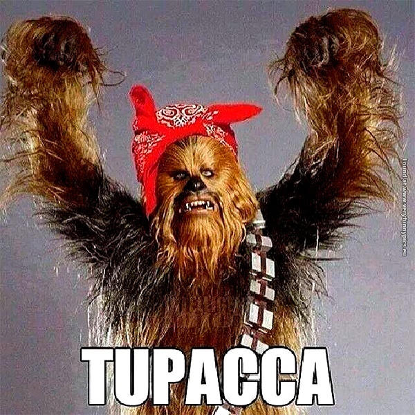 funny-pictures-tupacca