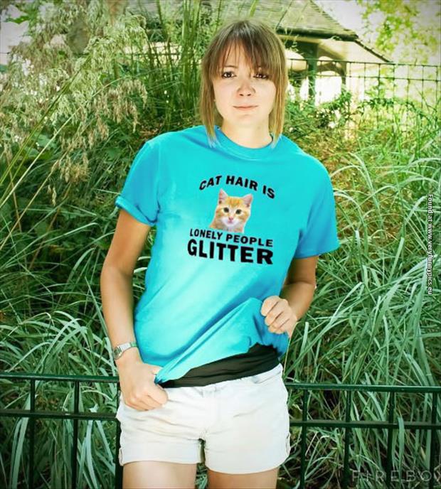 funny pictures cat hair is lonly peoples glitter