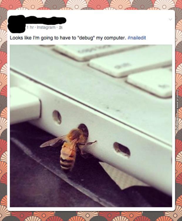 funny pictures debug my computer wasp