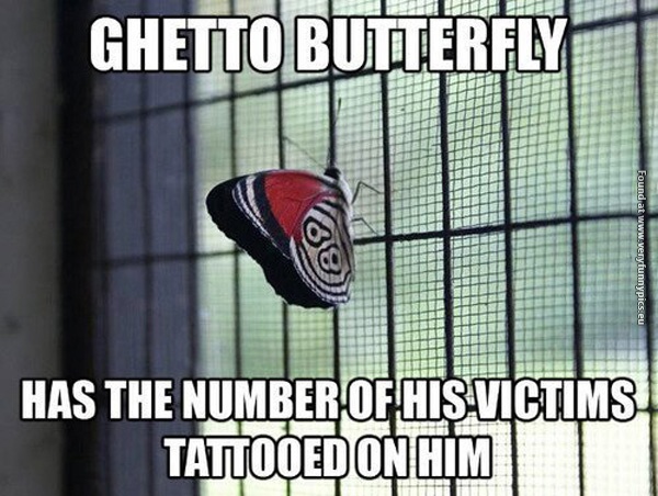 funny-pictures-ghetto-butterfly