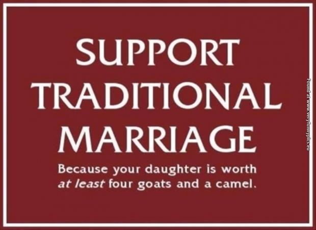 funny pictures support traditional marriage