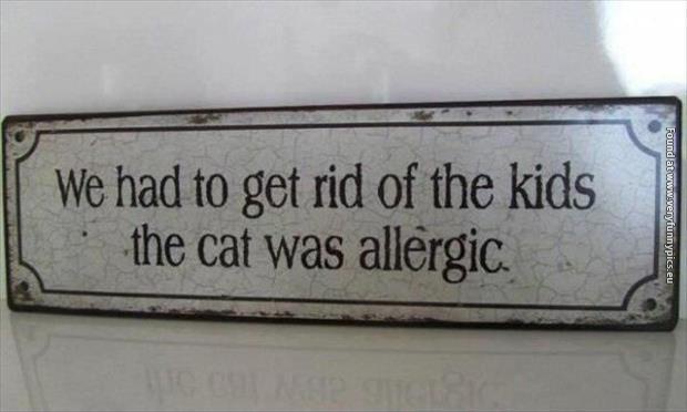 funny pictures the cat was allergic to kids