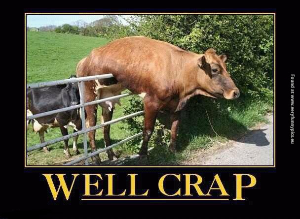 funny pictures well crap cow fence