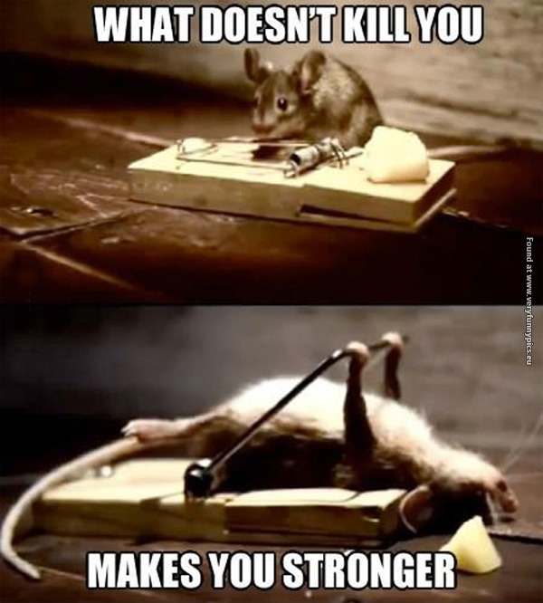 funny-pictures-what-doesnt-kill-you-mouse