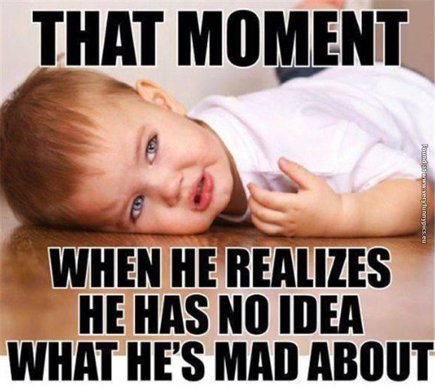 funny pictures why is he mad