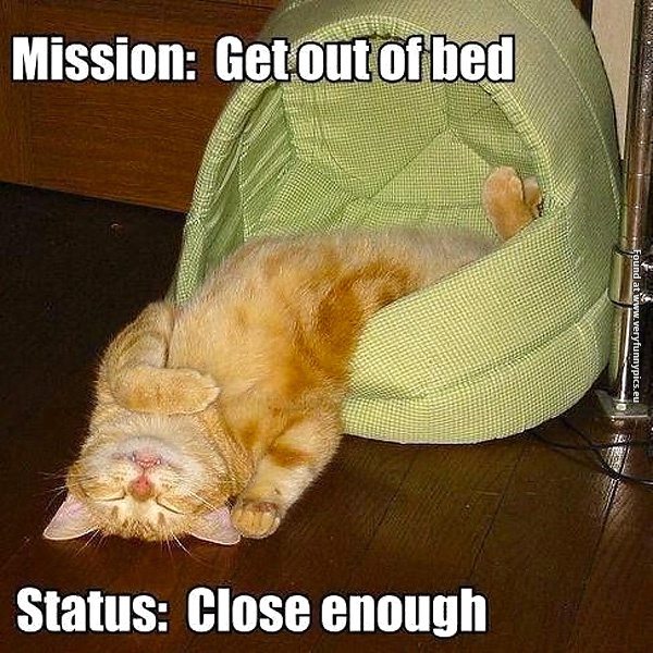 funny-cat-pictures-mission-get-out-of-bed