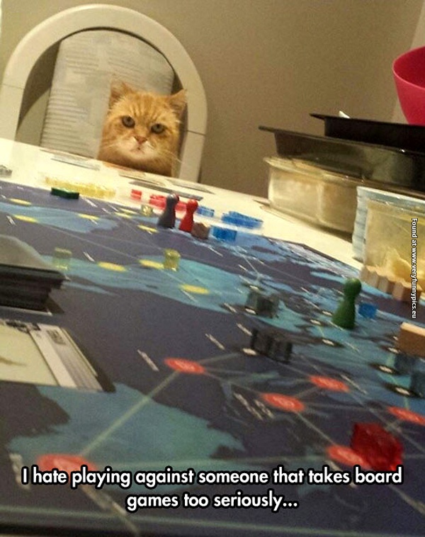 funny-cat-pictures-taking-board-games-to-seriously