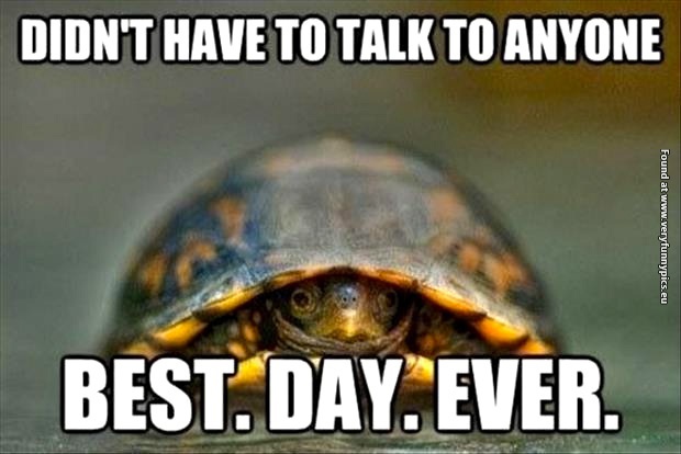 funny-pictures-best-day-ever-turtle