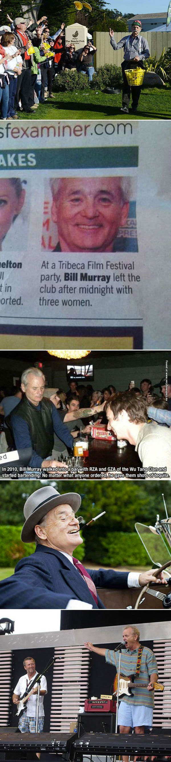 funny-pictures-bill-murray-is-awesome