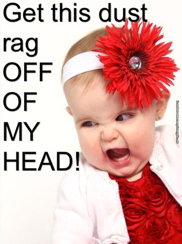funny-pictures-get-this-dust-rag-of-my-head
