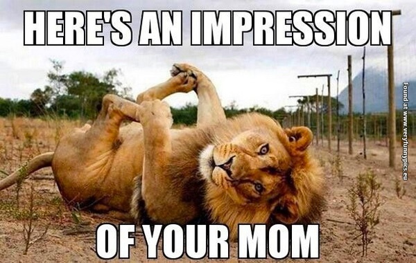 funny-pictures-impression-of-your-mom-lion