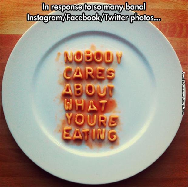 funny pictures nobody cares what you are eating