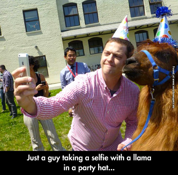 funny-pictures-selfie-with-a-llama