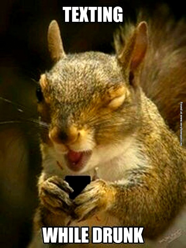 funny-pictures-texting-while-drunk-sqirrel