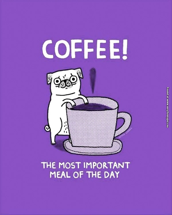 funny-pictures-coffee-the-most-important-meal-of-the-day