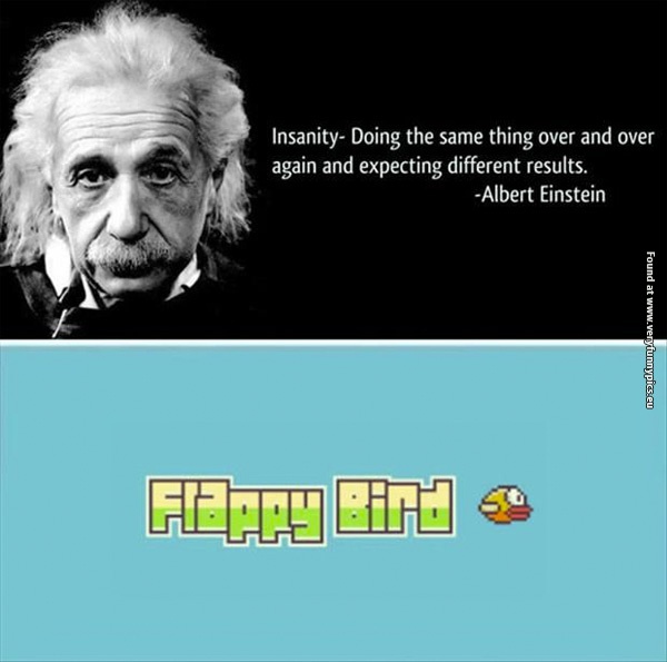 funny-pictures-insanity-accordign-to-einstein-flappy-bird