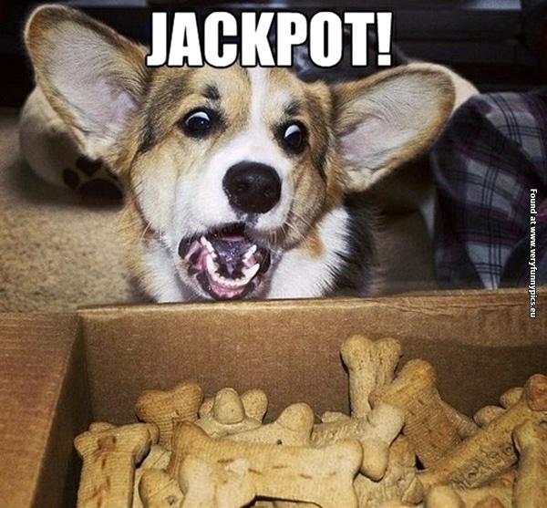 funny-pictures-jackpot-dog-treats
