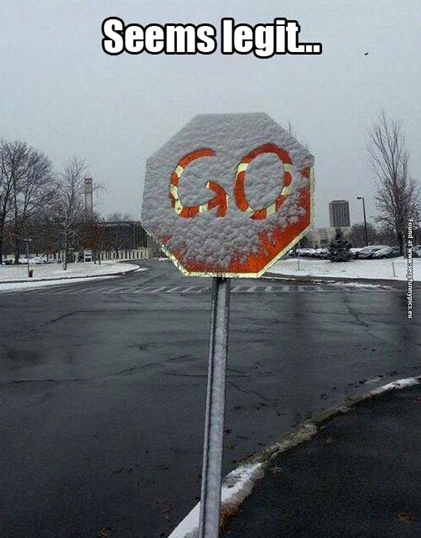funny-pictures-stop-sign-seems-legit