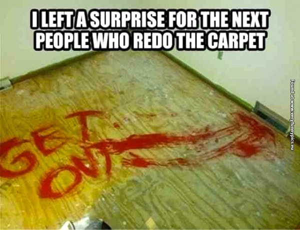 funny-pictures-surprise-under-the-carpet