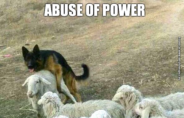 funny-pictures-german-shepard-abuse-of-powers
