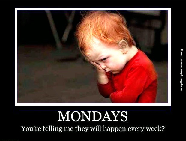 funny-pictures-mondays-every-week