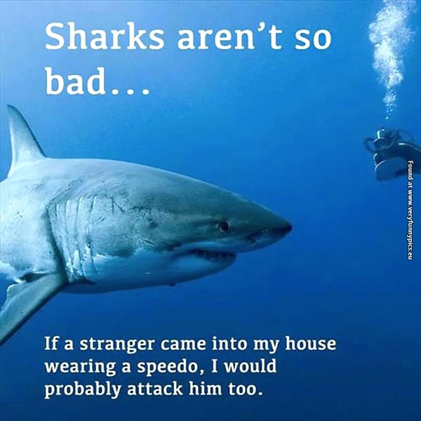funny-pictures-sharks-arent-so-bad