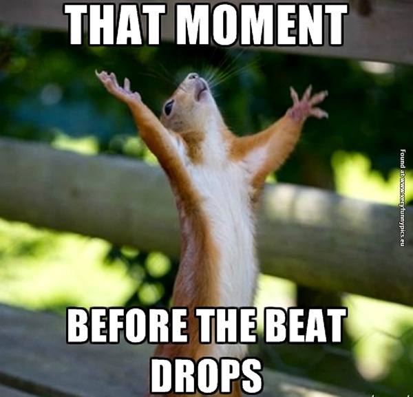 funny-pictures-that-moment-before-the-beat-drops