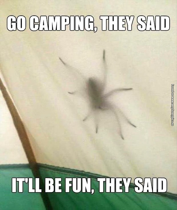 funny-pictures-go-camping-they-said