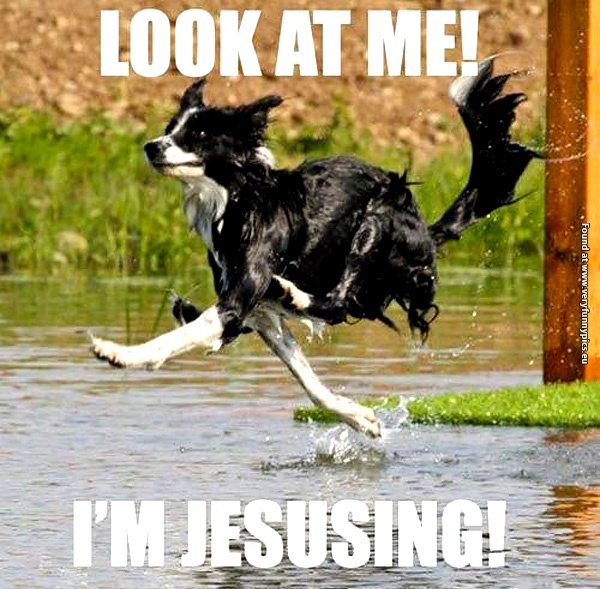 funny-pictures-jesusing-dog