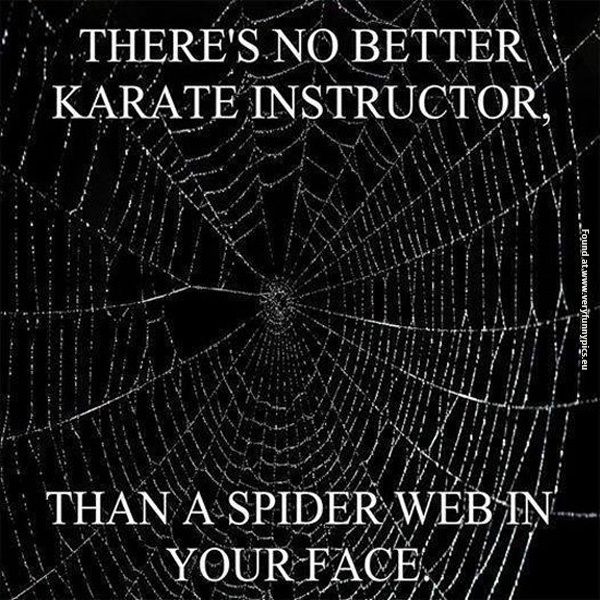 funny-pictures-karate-instructor-spider-web