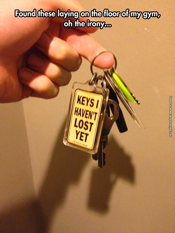 funny-pictures-keys-i-havent-lost-yet