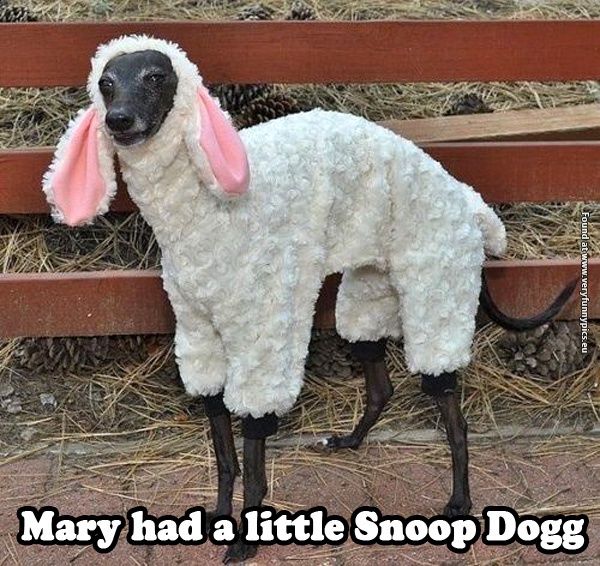 funny-pictures-mary-had-a-little-snoop-dogg