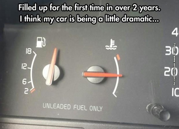 funny-pictures-overdramatic-car
