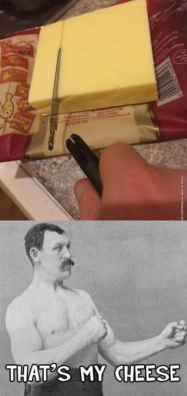 funny-pictures-overly-manly-mans-cheese
