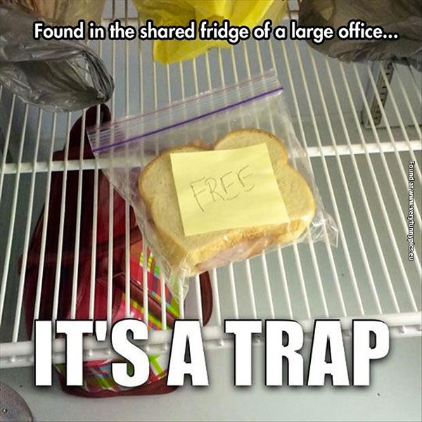 funny-pictures-probably-a-trap