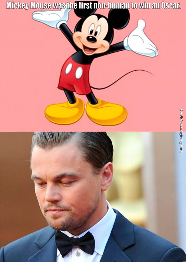 funny-pictures-the-first-non-human-to-win-an-oscar-dicaprio