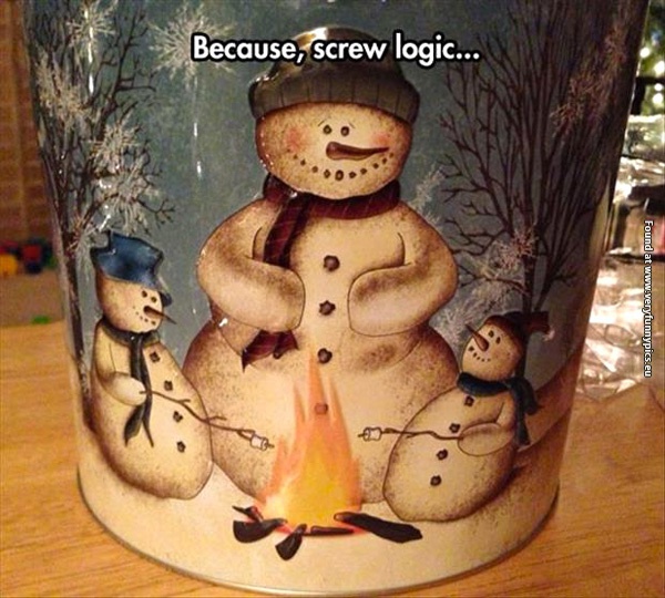 funny-pictures-because-screw-logic