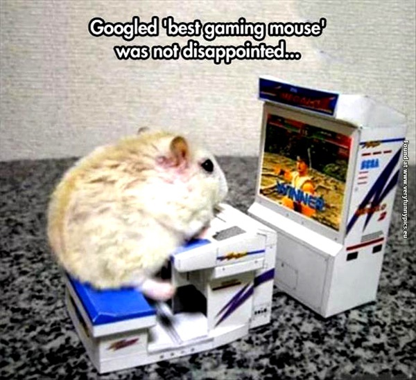 funny-pictures-best-gaming-mouse