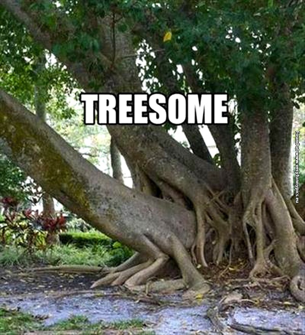 funny-pictures-tree-pun
