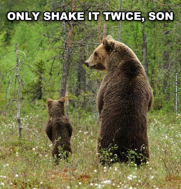 funny pictures peeing bears