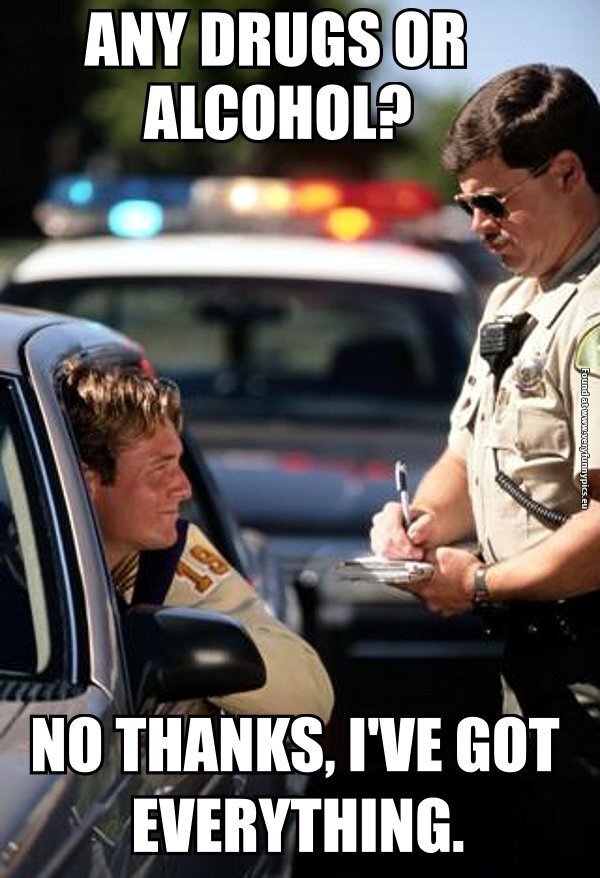 funny pictures police stops car