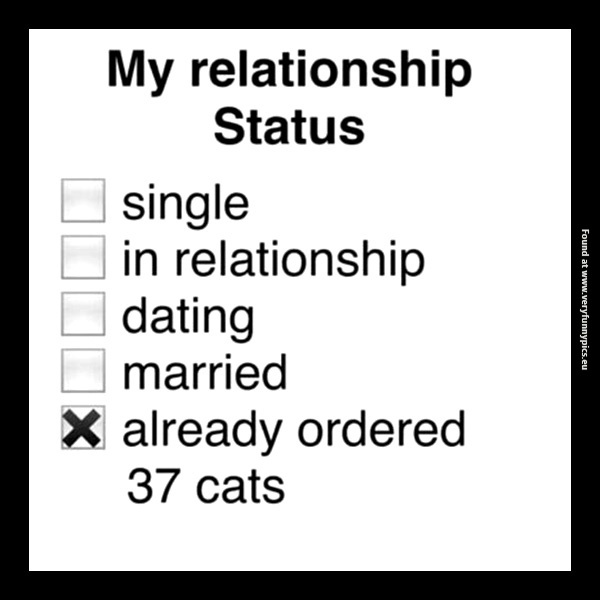 funny-pictures-relationship-status
