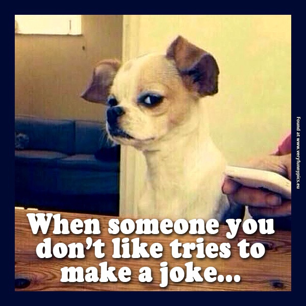 funny-pictures-when-someone-you-dont-like-tries-to-make-a-joke