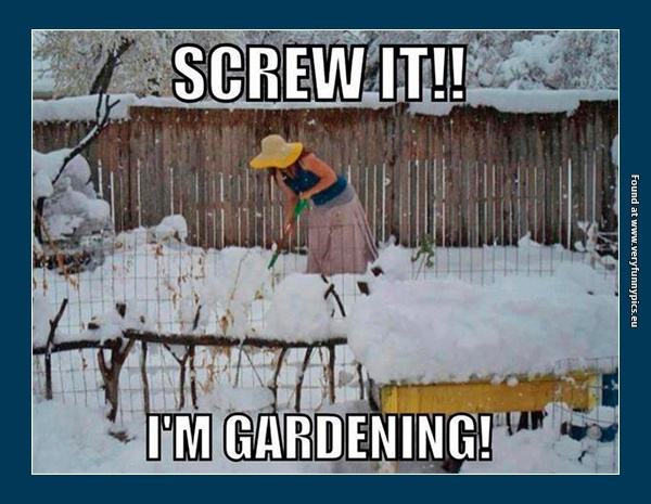 funny-pictures-enough-with-the-snow-im-gardening