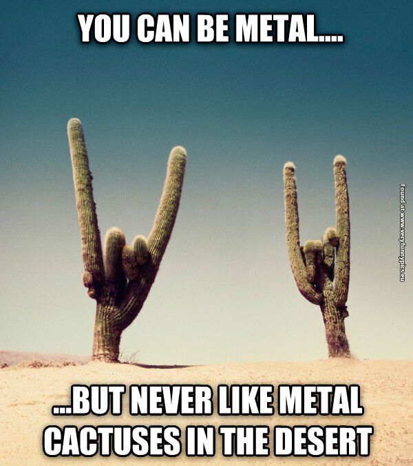 funny pictures heavy metal cactus