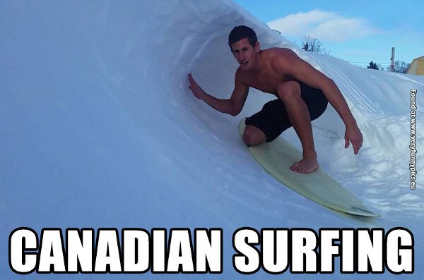 funny pictures canadian surfing