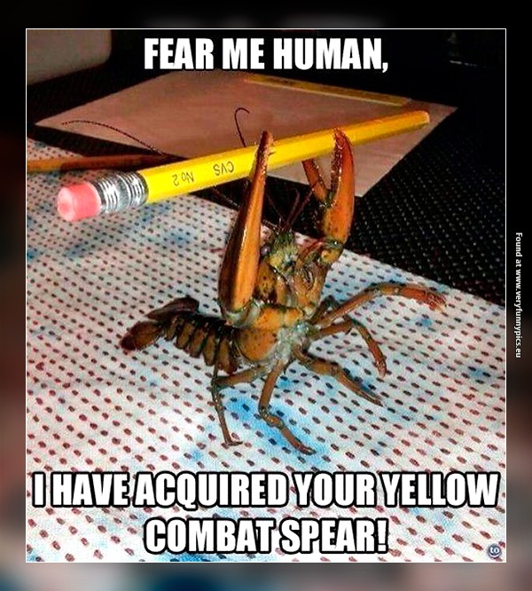 funny-pictures-combat-lobster
