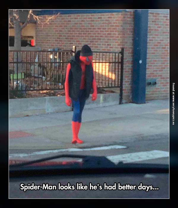 funny-pictures-spiderman-has-seen-better-days